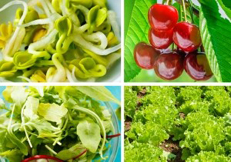 7 spring Bulgarian superfoods