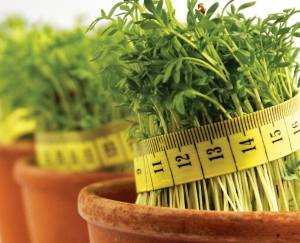 Healthy weight loss